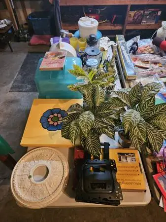 Moving/Downsizing sale