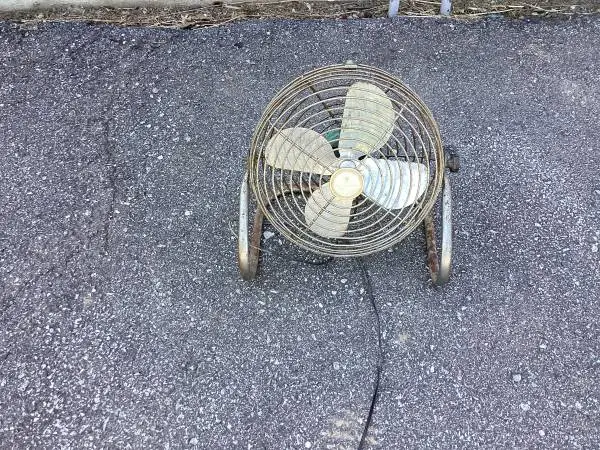 Wizard Imperial Electric Fan 10”