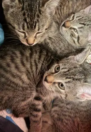 Ready for new homes!