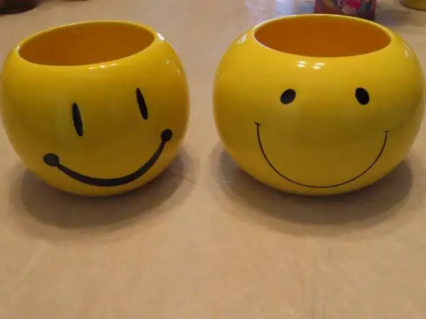 Smiley planters / catch all choice