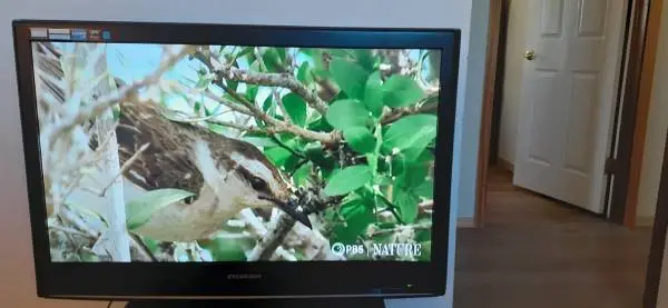 Sylvania 32 Flat Screen TV