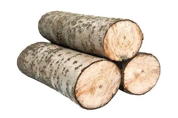firewood - aspen rounds
