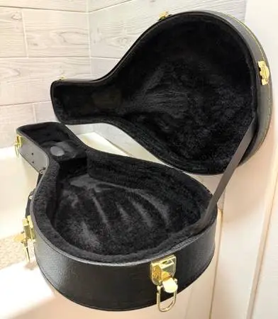 Hardshell A-style mandolin case. Great condition.