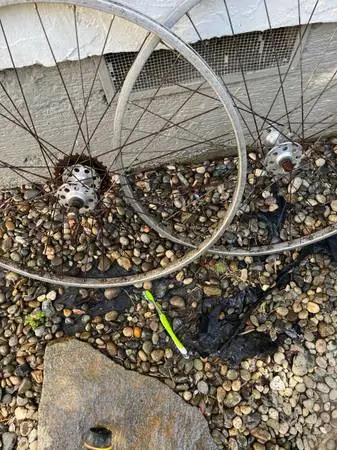 Vintage Campagnola, five speed hubs