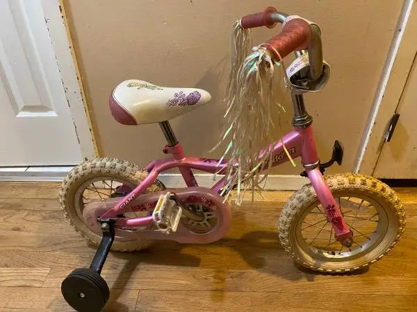 Child’s GIANT L’iL PUDDIN’ Bicycle. 12.5 inch tires