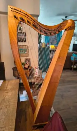 Used Dusty Strings Crescendo 32 for sale