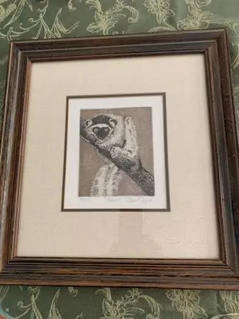 alan siegel lemur 406 color etching print art framed and signed