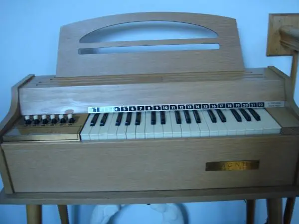 Vintage electric Organ Oak wood from 60s Works Great