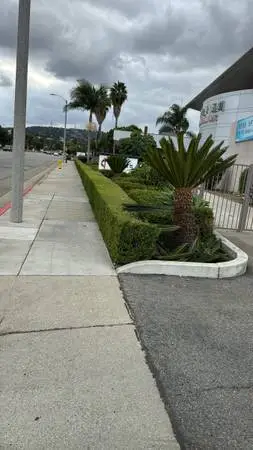 Gardener $80 monthly