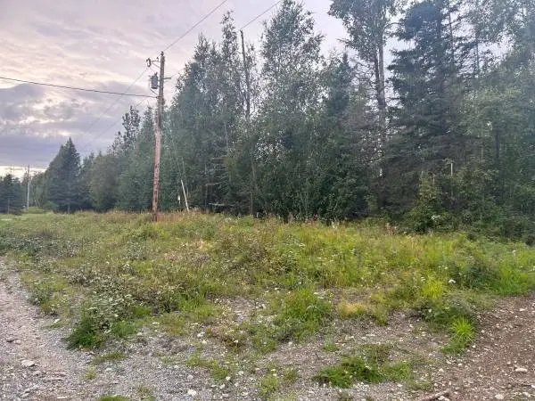 1 acre lot 14 minutes from Wasilla electric and gas with clean neighbourhood
