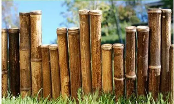 Black Bamboo Garden flower bed border