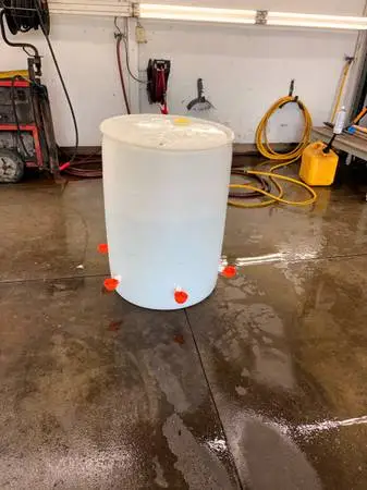 Chicken cup waterer