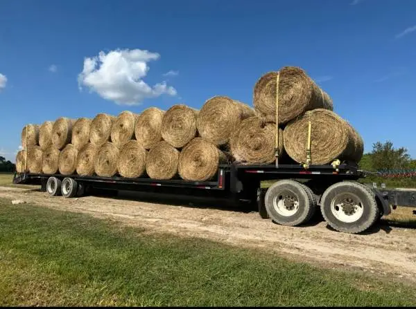 Barn kept DRY round bales hay