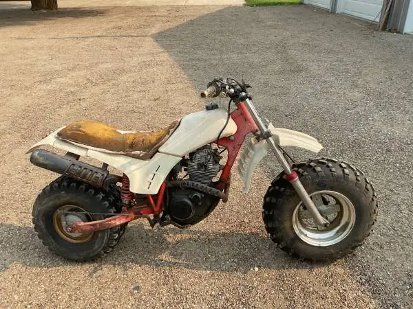 1985 Yamaha bw200 project bike