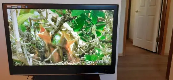 Sylvania 32 Flat Screen TV