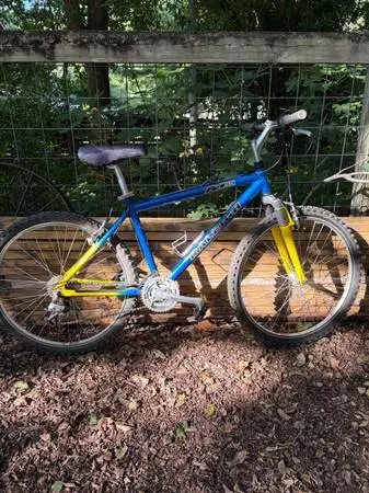 Classic 90’s Raleigh Mountain Bike