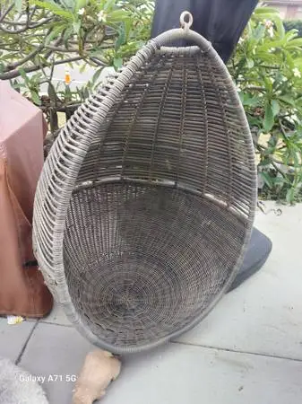 Swing/ chair
