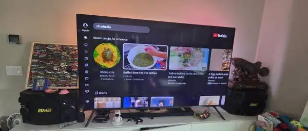 Samsung 82 inch tv
