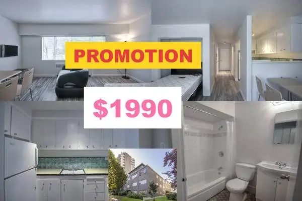 🌿Oct 25th- Furnished Studio in 1540 Haro – Pet Friendly-PROMOTION
