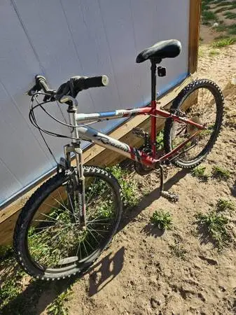 Adult bicycle