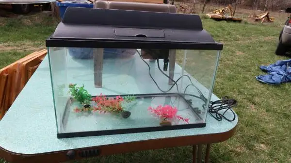AQUARIMUN 10 GALLON W/PUMP & HOOD