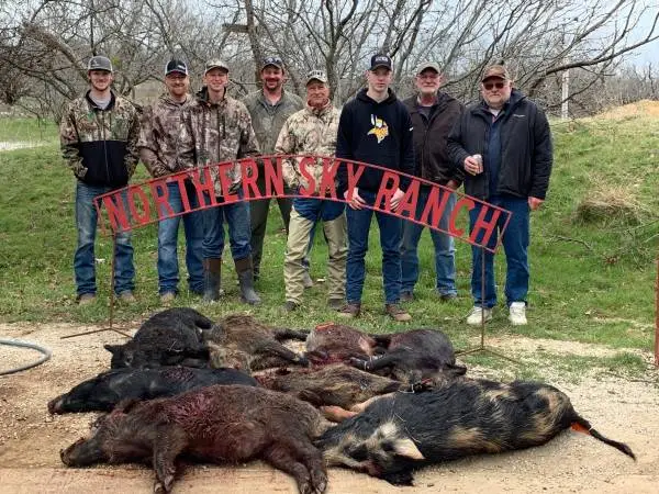 Wild Hog Hunt