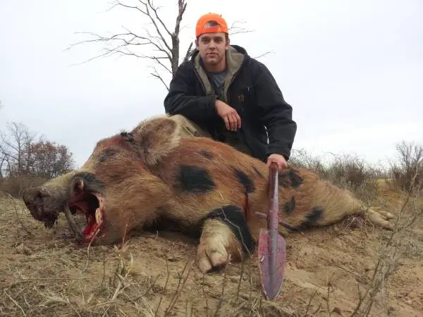 Bachelor Party Hog Hunt