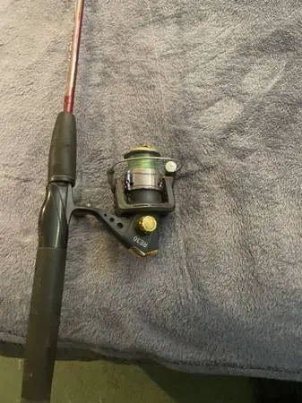 Fishing pole