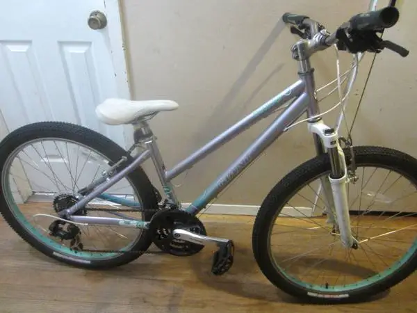 21 Speed GIANT BOULDER Mountain Bicycle 14 inch frame......L