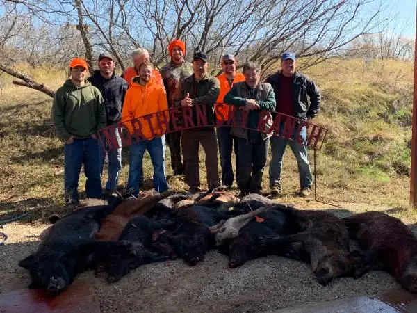 Wild Hog Hunt