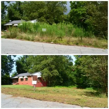 BUSH TRIMMING, LAWN MOWING & BIG YARD CLEANUPS 🌱 FAST QUOTES BY TEXT