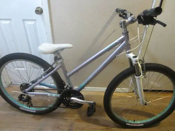 21 Speed GIANT BOULDER Mountain Bicycle 14 inch frame......L