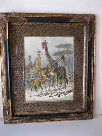 Giraffe lithograph