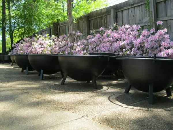 CHECK OUT OUR LIFETIME FIREPITS. ALL GUARANTEED TWENTY FIVE YEARS