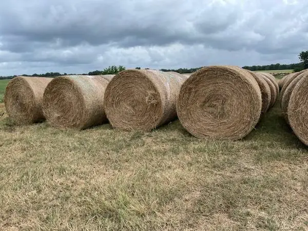 HAY FOR SALE
