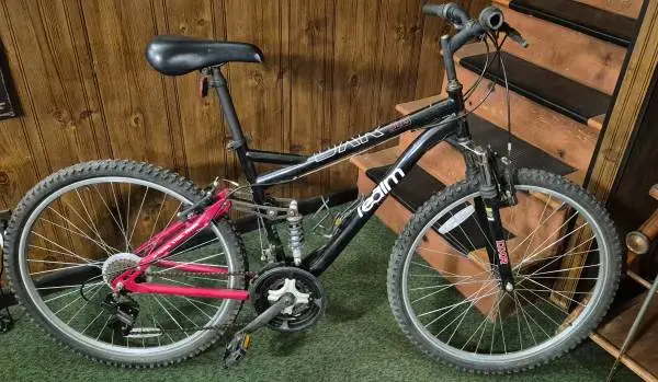 Realm DXR Mountain Bike