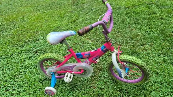 Dynacraft Trolls 14 Bicycle with Training Wheels