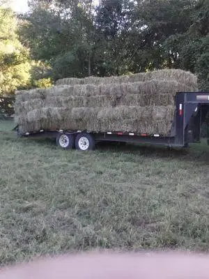 Hay Square Bales