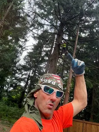 Tree cutting and tree service