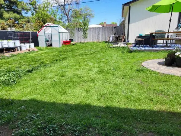 Sod/Seed/Rototilling// super low water 1/3 the price.clover