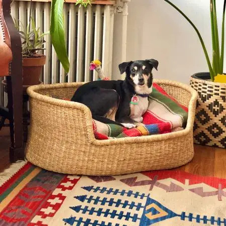 Peruvian Dog Bed Basket