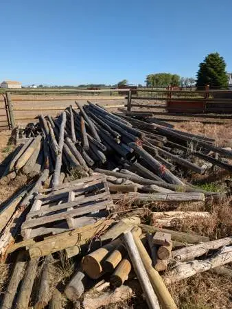 Poles