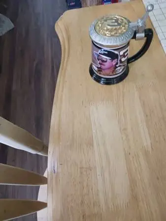 NEW DALE EARNHARDT STEIN