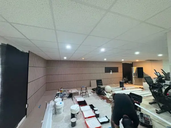 Drop Ceilings and Sound Panels - CT Sound Solutions LLC