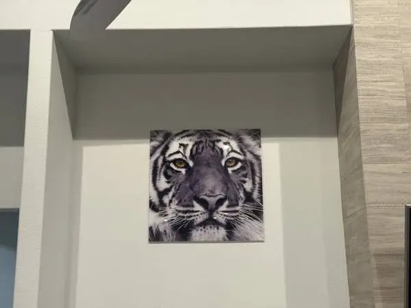 Frameless Free Floating Tempered Glass Panel Graphic Art 38 in. x 38 i