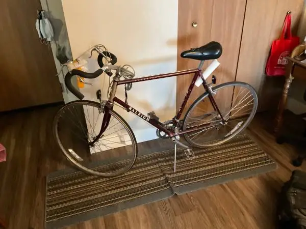 1984 Year Raleigh Olympian