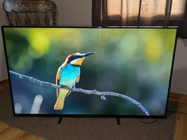 65” Smart LED TV