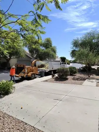 Tree Removal/ Trimming, Stump grind, Turf/Hardscape Design, Commercial