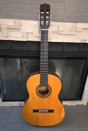 guitar - Sedona SC-446 - with travel case