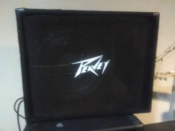 2 Peavey 500w monitors
